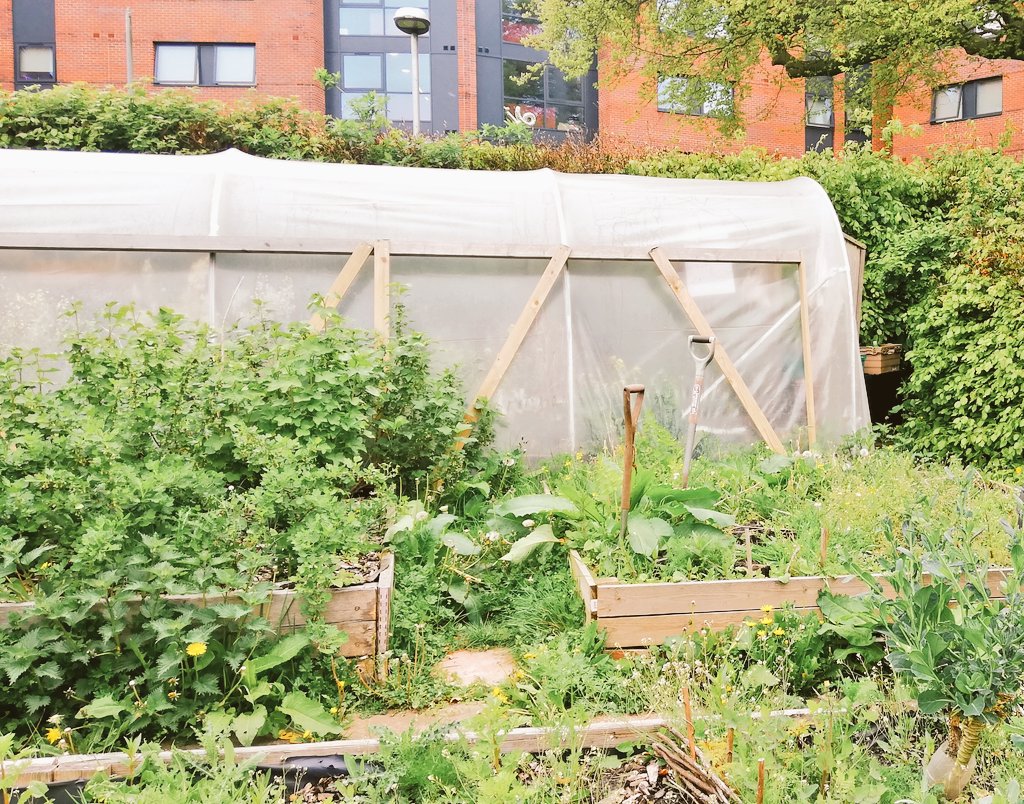 USDP_Outreach's tweet photo. Learning more about campus sustainability: from sustainable student housing and food allotments to solar and wind farms @KeeleUniversity @NicoJSmit1 @WepenerVictor @SARChIEco @Dr_H_Glanville https://t.co/EScaPvsRoz