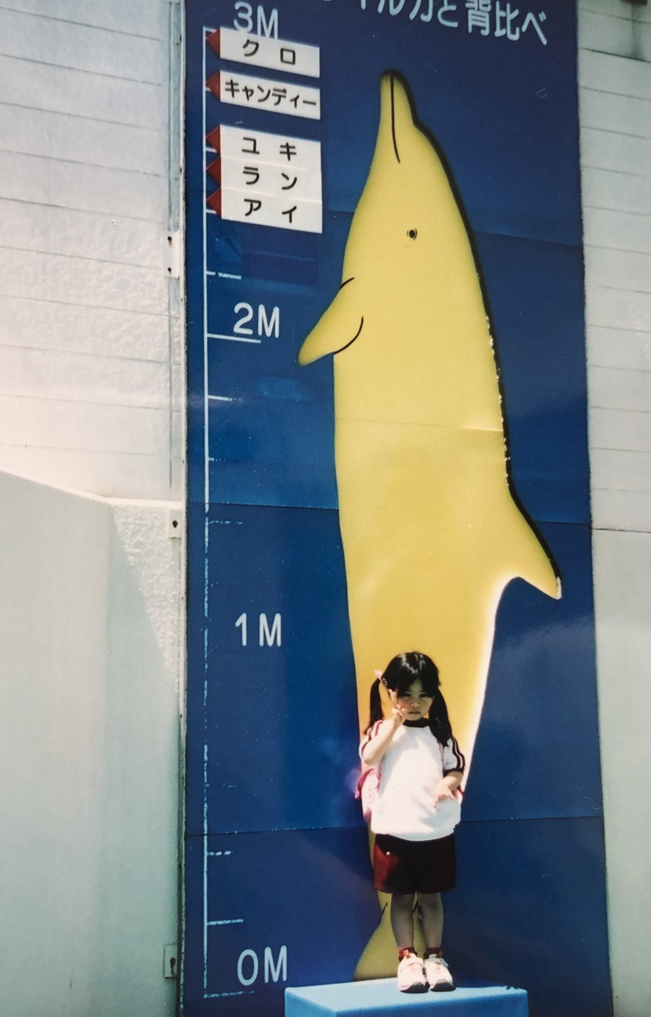 [Twit] 本間日陽 220505