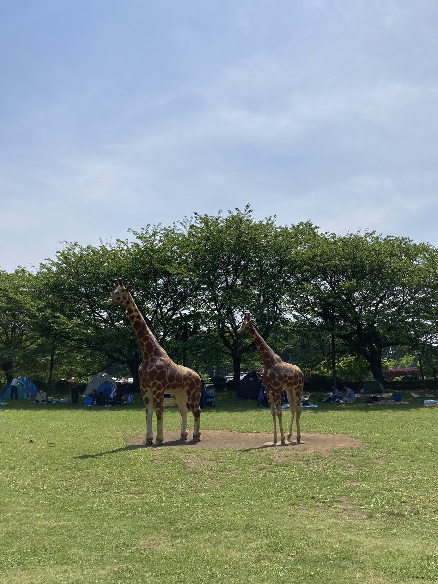 市川市動植物園！