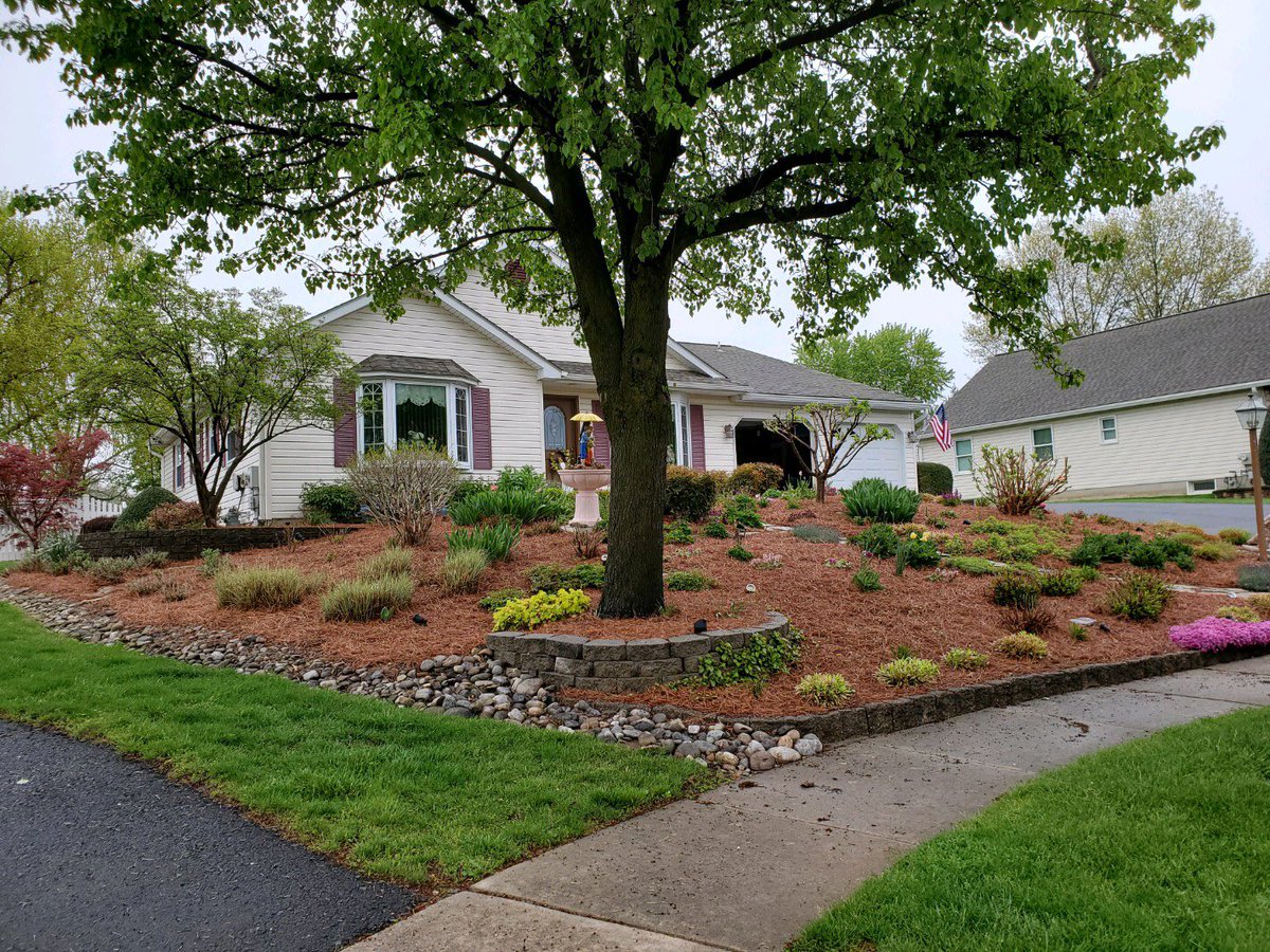 YourPond's tweet photo. We love when customers send us pictures of their homes! The #pineneedlemulch they installed really makes their #garden pop! This mulch is easy to install and looks great with any #backyarddesign! #cincodemayo #thursdaymotivation #homesweethome https://t.co/XHWGI0m90p