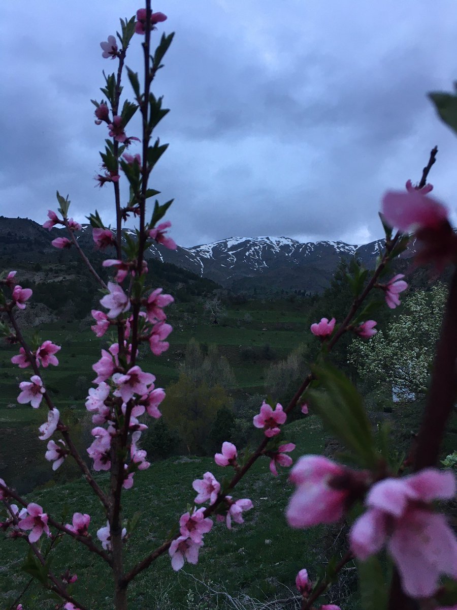 Kime gelmiş bahar ? 
Bazılarımız hâlâ kışı yaşıyor.