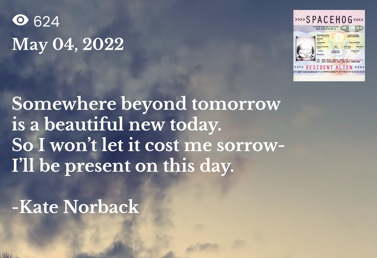 MusistApp's tweet image. Write what matters and share it with other like-minded people on #musist ❤️

#theinnersocial #creative #WritingCommunity