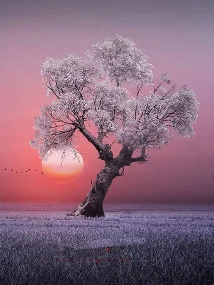 Kita disembuhkan dari suatu penderitaan hanya dengan mengalami sendiri sepenuhnya.