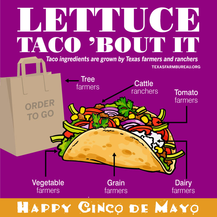 It’s Cinco de Mayo! “Lettuce” celebrate today with tacos! Meet some of the Texas farmers and ranchers behind our favorite taco ingredients! txfb.us/TTT050520