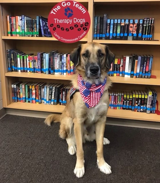 tamuksta's tweet photo. Need a break to pet some furry friends? Opal and Max are coming to the TAMUK Jernigan Library Room 125 tomorrow (May 6th) from 10:00 - 12:30p! Be sure to stop by to give them lots of love and de-stress. https://t.co/TvZWtplu54