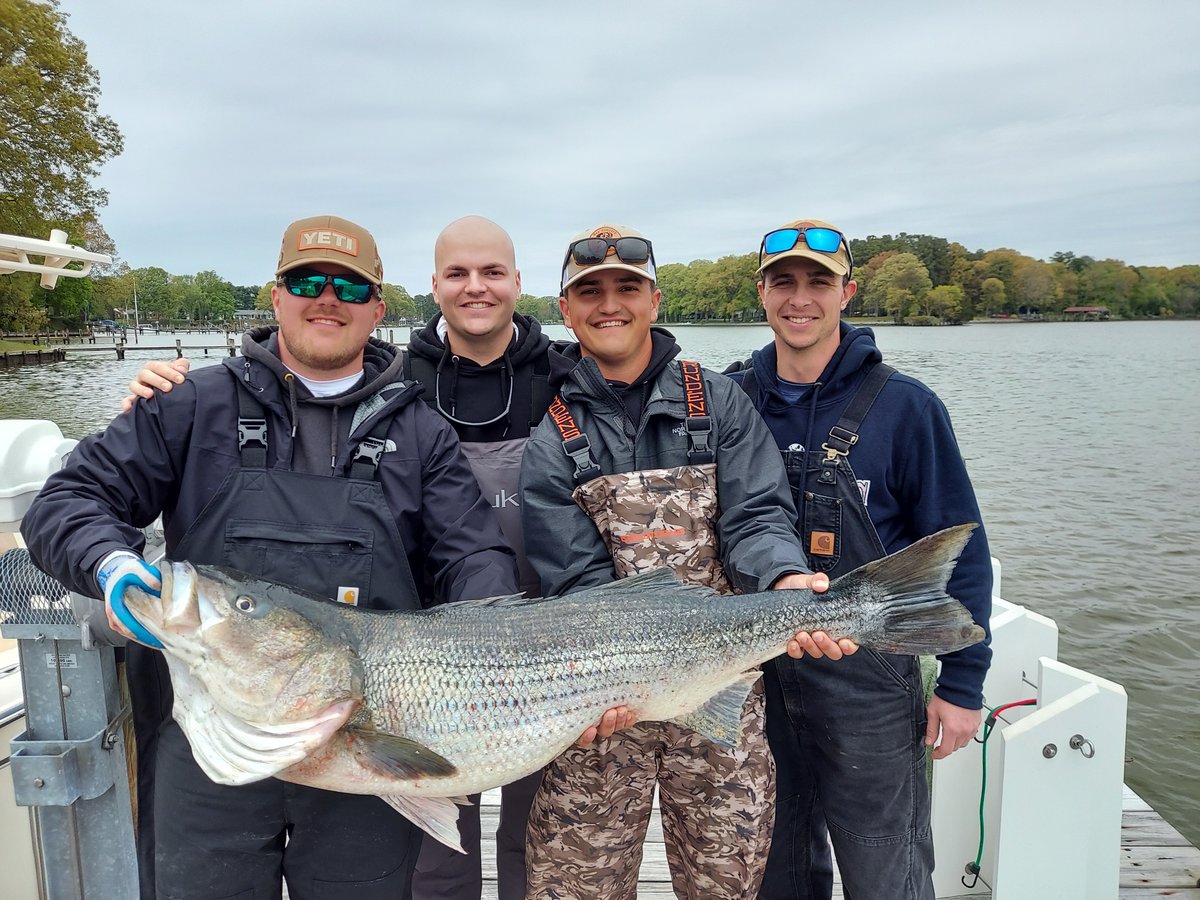 GradyLife's tweet photo. This 48"" Rockfish was caught opening day out of the Chesapeake Bay on Larry Haskins' 2019 Fisherman 236. Congrats boys!

#chesapeakebay
#rockfish
#Boating
#boatinglife
#fishing
#fishinglife
#gradywhite
#gradywhiteboats
#offshorefishing
#takemefishing
#gofishing

🔥👌🎣 https://t.co/cOmqruIvzr