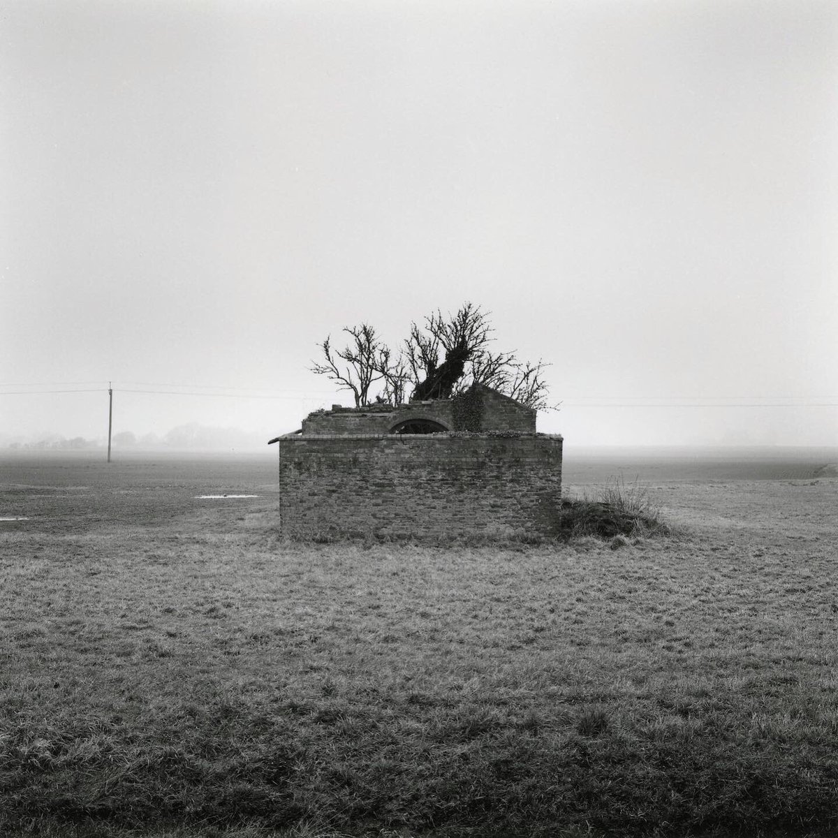 PAUL HART tweet media