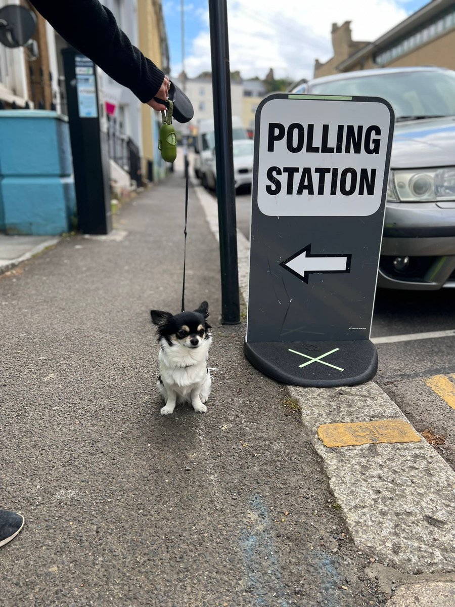 #dogsatpollingstations