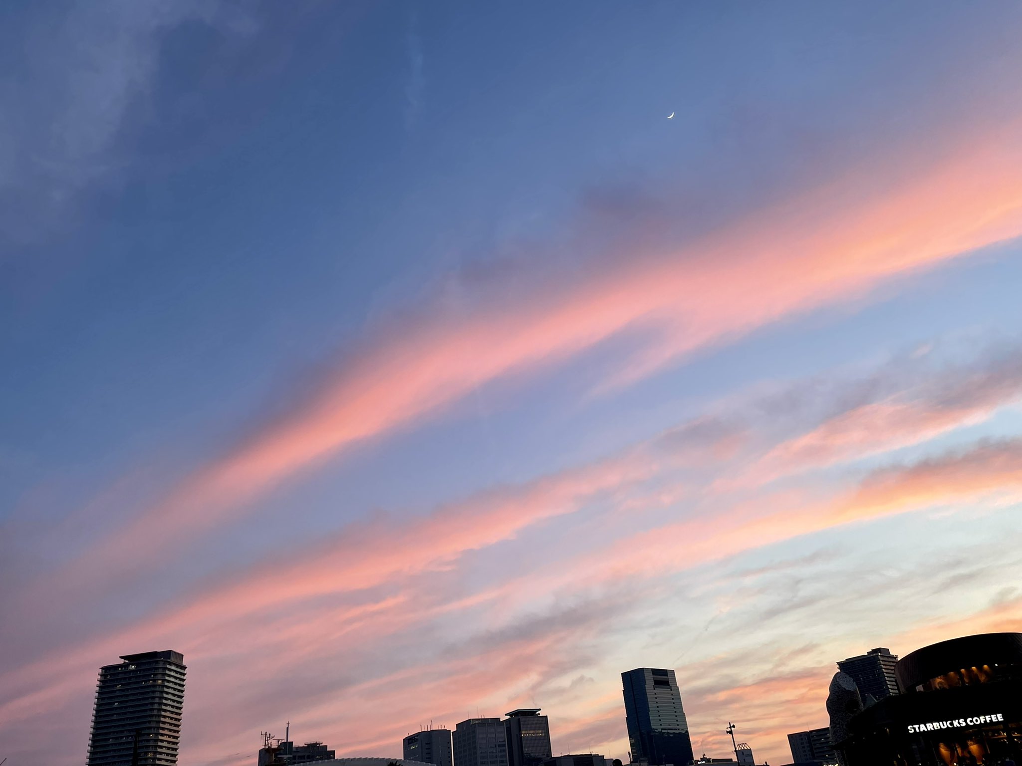 تويتر あこ على تويتر 22 5 5 神戸 名探偵コナン ハロウィンの花嫁 ようやく観れた めっちゃかっこよかったし おもしろかったなぁ しゃぽるーじゅまた行けて嬉しかった ここのオムライスほんま美味しい お店見て周ったり楽しかったぁ 神戸