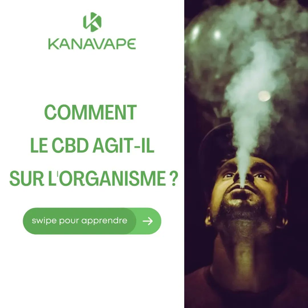 AlphaCatLab's tweet image. Vous êtes-vous déjà demandé pourquoi le CBD a un tel impact sur notre corps ? 🍁On vous donne la réponse ici ➡ t.ly/KuN8 

#endocannabinoïde #système #cannabinoïdes #homéostasie #kanavape