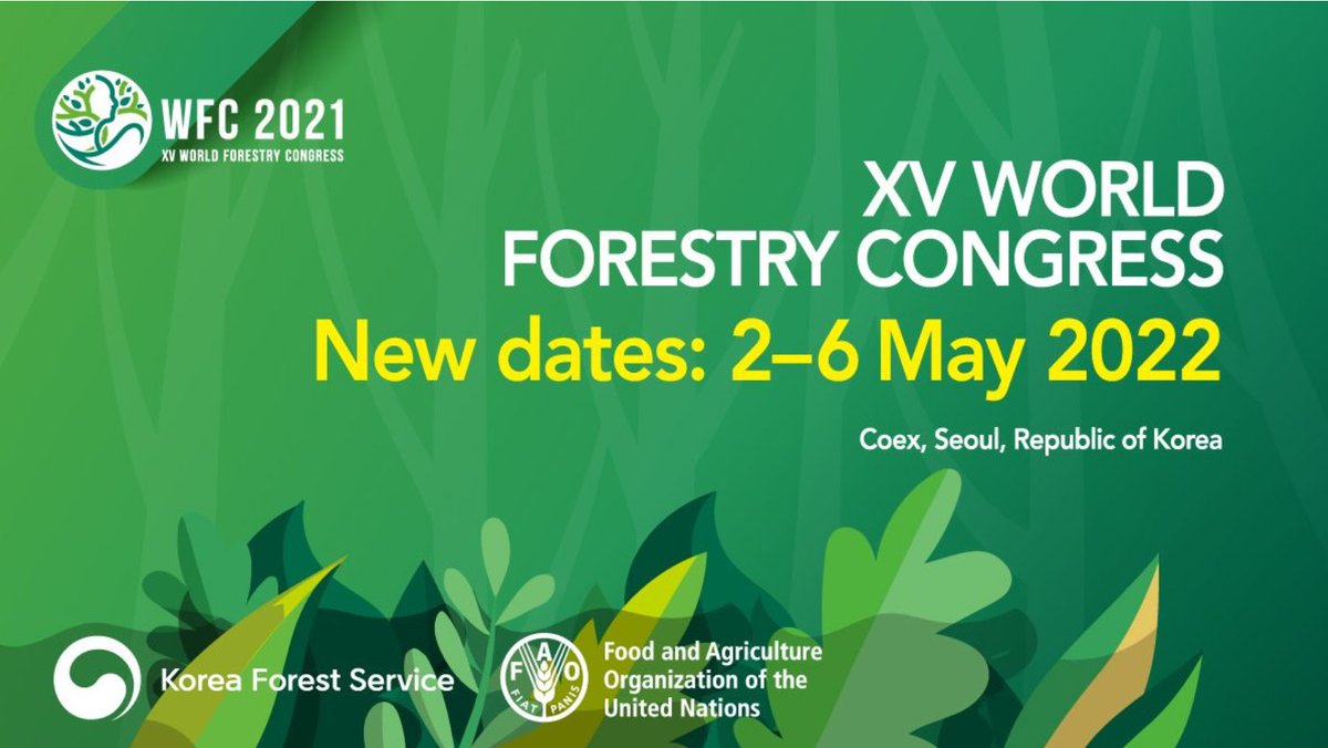 Conoce todo lo que está sucediendo en el XV World Forestry Congress en Korea, a través de ésta cuenta de twitter 👉<a href="/WFCKorea/">WFCKorea</a> #WFCKorea #Garnica