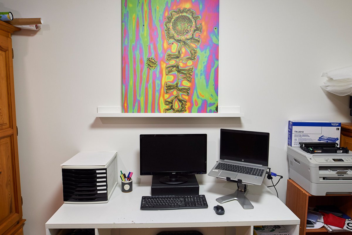 "Burning Sunflower" decorating a desk. This a #HiddenReflectionsArt picture. #NFT available at <a href="/opensea/">OpenSea</a> 
opensea.io/assets/0x495f9…
#OpenSeaNFT