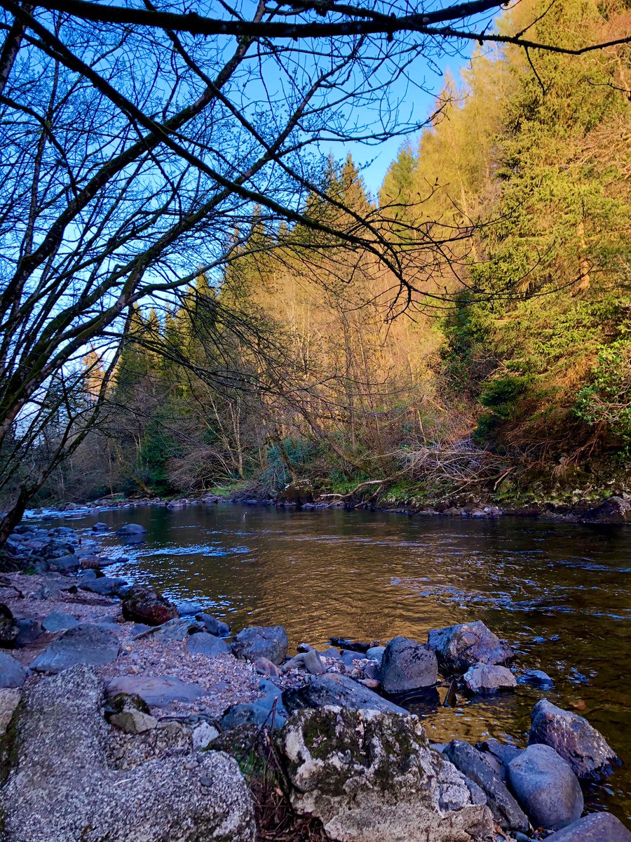 morning stroll along #riverardle @visitperth @visitperthshire @LovePerthshire #tranquil #nature #Wellbeing @VisitScotland @mvscotland #ScotlandisCalling ❤️🏴󠁧󠁢󠁳󠁣󠁴󠁿