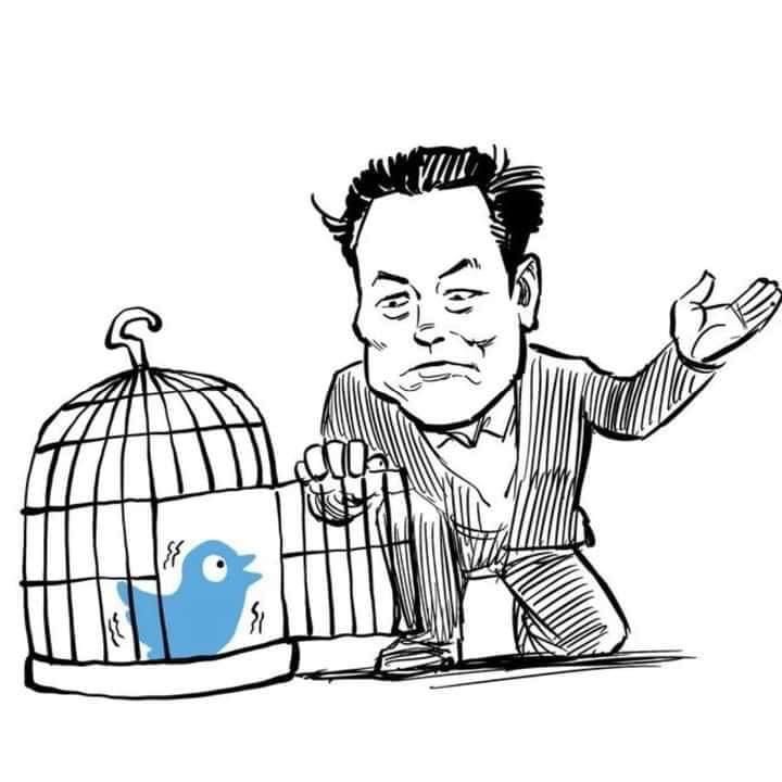 danielnetplan tweet picture