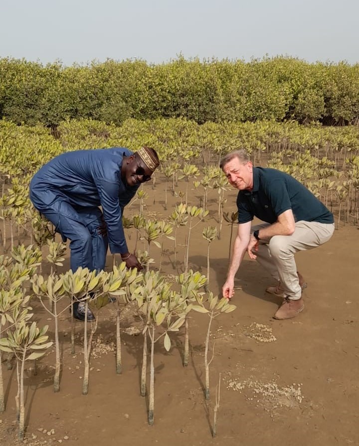 GambiaXperience's tweet photo. Our MD, Chris, has just returned from a whirlwind trip to The Gambia. We've been supporting several sustainable projects this winter, including mangrove planting - your carbon offset contributions are really making a difference, thank you so much 😍 .
https://t.co/vw0n9OLI4F https://t.co/Sj8OhK4Z46