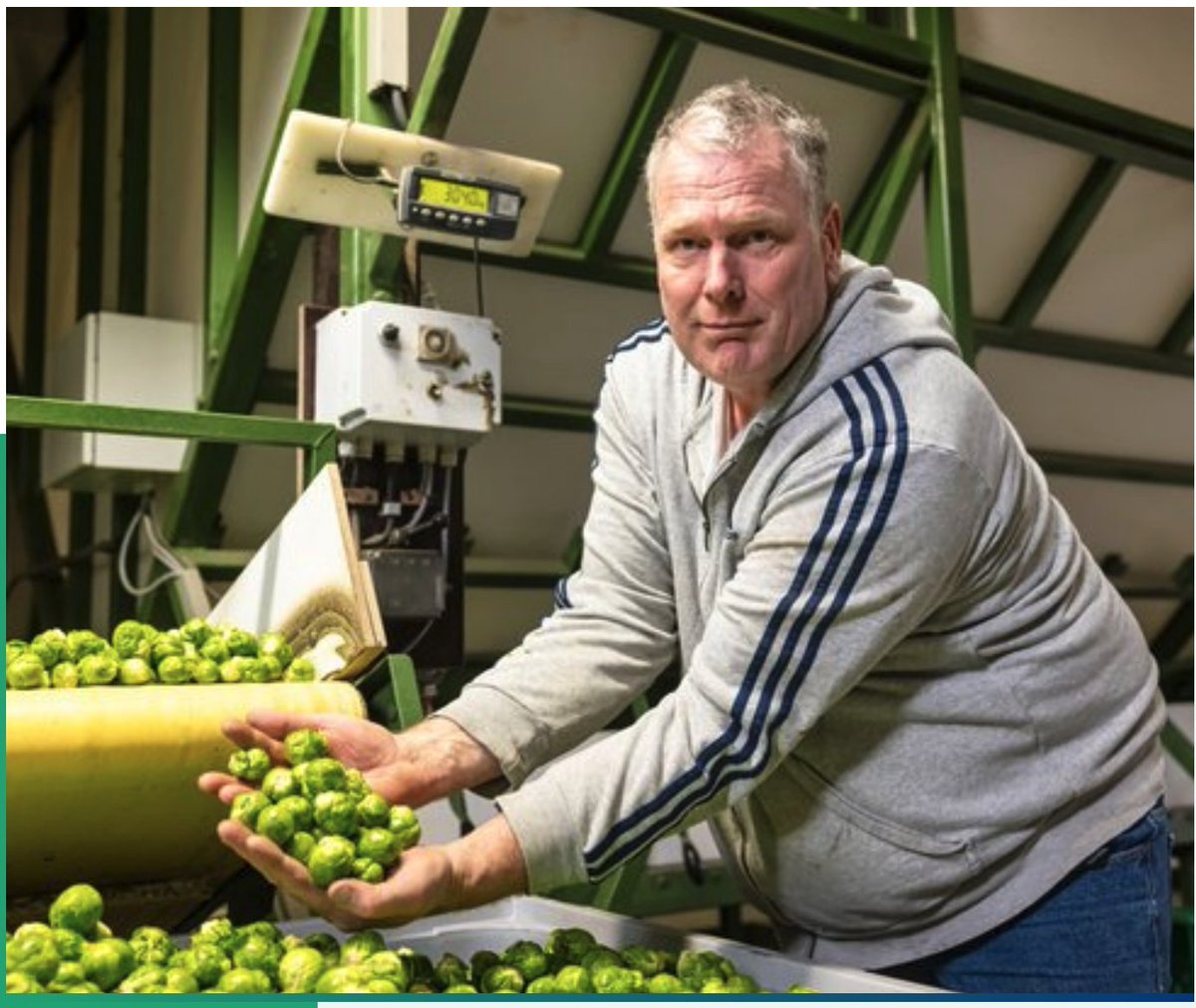 Win4All_FL's tweet photo. De eerste volledig geautomatiseerde spruitenplukmachine ter wereld draait in Zeewolde, bij de broers Jan en Ronald Herbert. #Flevoland, #duidelijkanders. Samen met InFlevoland laten we zien wat ondernemend Flevoland allemaal in zijn mars heeft. https://t.co/nAhKBLQslb https://t.co/0IOTY4vg7N