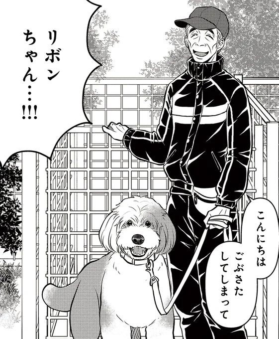 /明日は金曜日#DOGSIGNAL 最新話の更新日です\昨日ツイートしたお気に入り1コマ、共感してくださる方が多くて嬉しいです。笑明日はリボンちゃん編ラストの更新日です2話連続でお贈りした長編。最後まで是非読んで頂きたいです…!!お楽しみに 