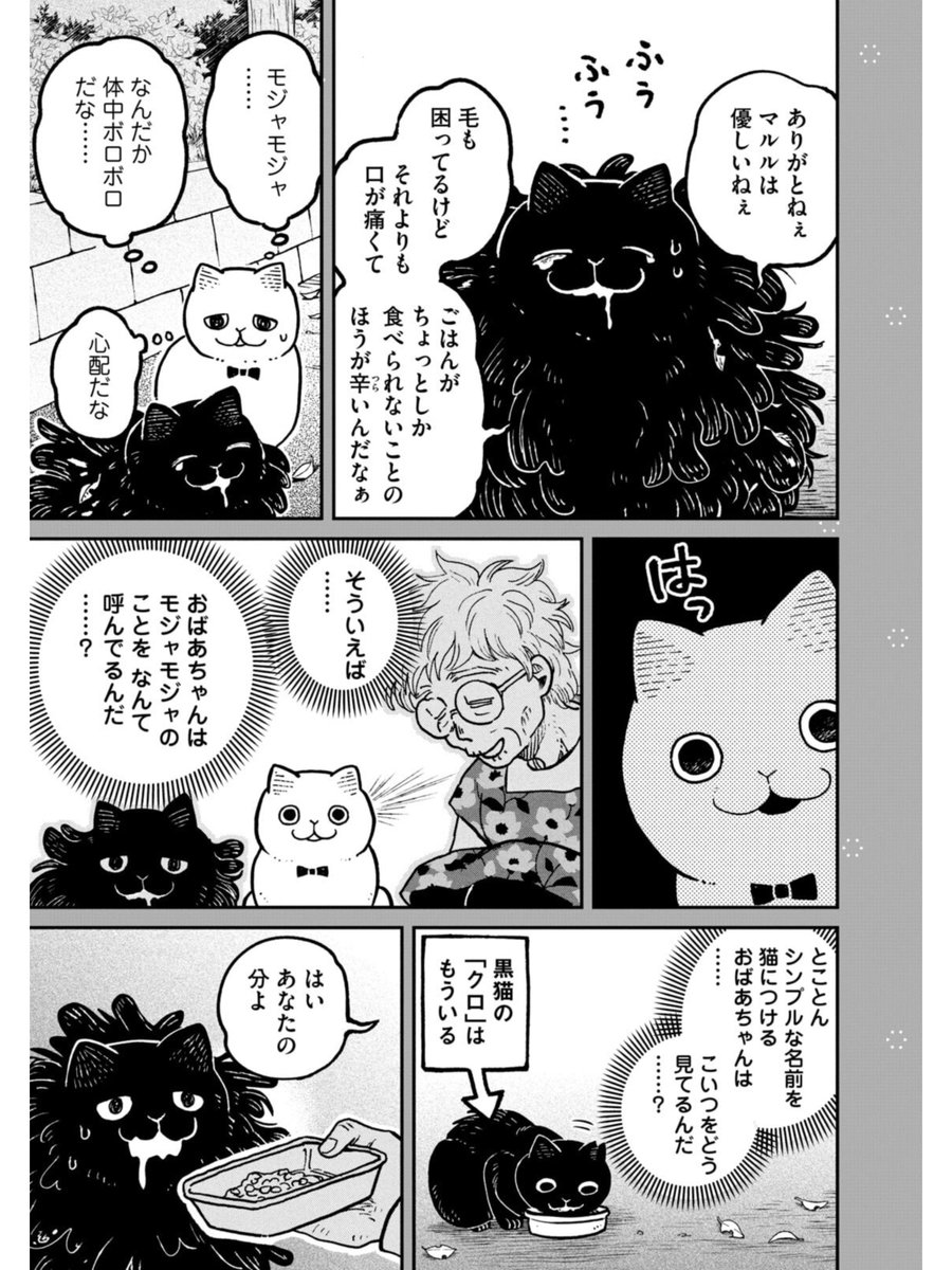 【創作】モジャモジャ猫の名前は……
#ツレ猫マルルとハチ #マルルとハチ 