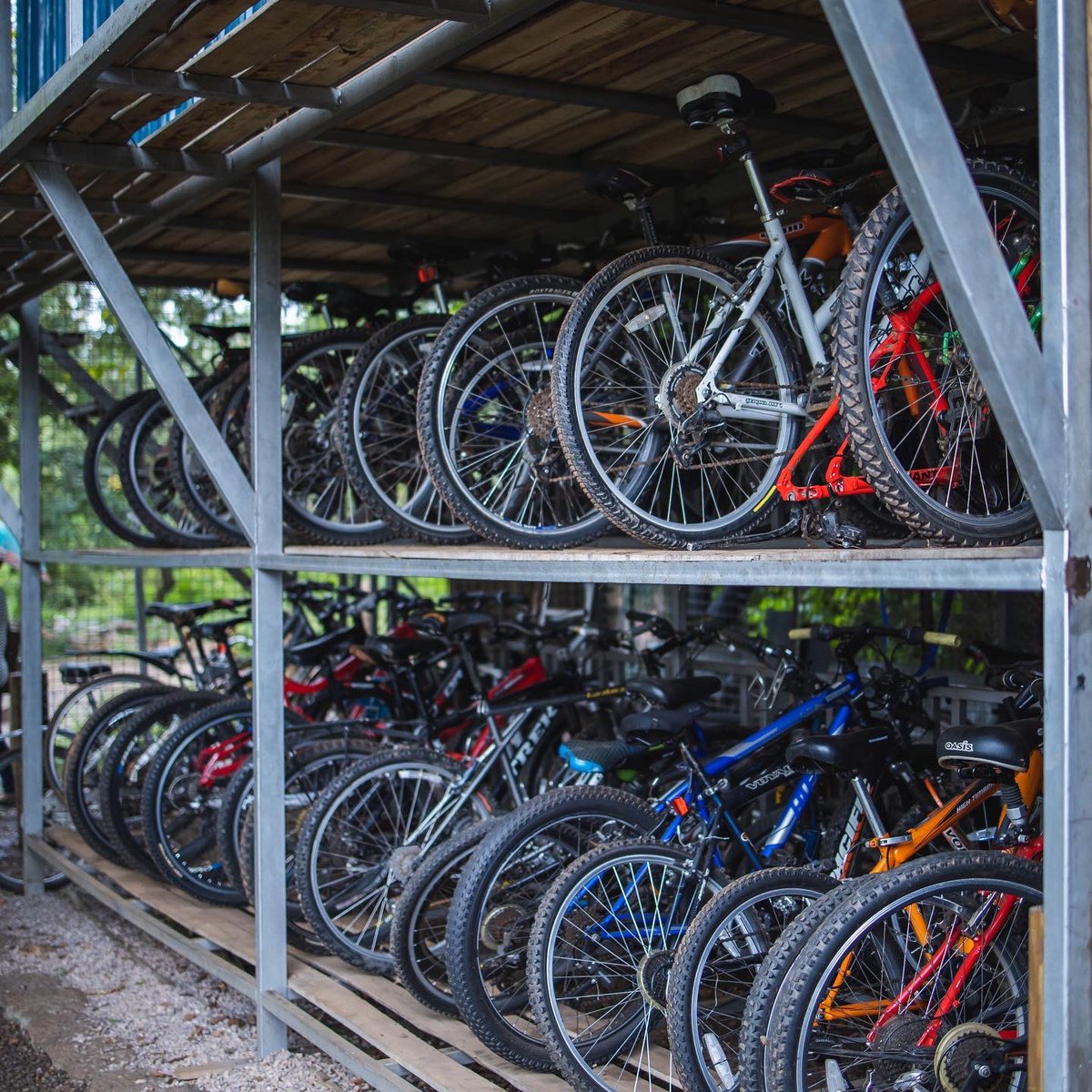 Tourism Inc. tweet media