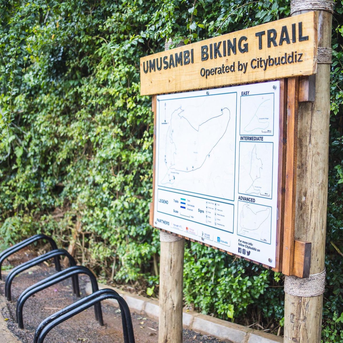 Tourism Inc. tweet media