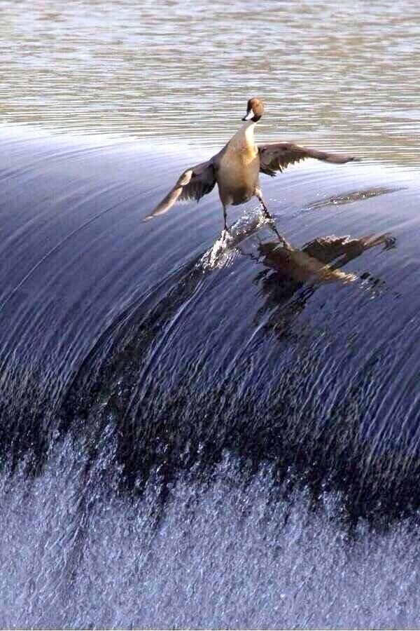 Abbie53087654's tweet photo. Surfing the waves… 💙💙💙💙 https://t.co/n49xNShGbE