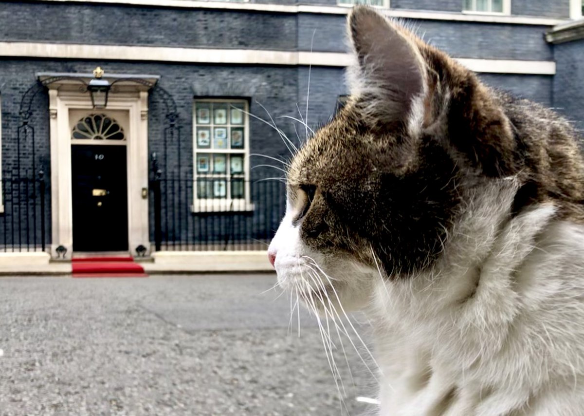 “I’ve got my eye on you…”

<a href="/Number10cat/">Larry the Cat</a>