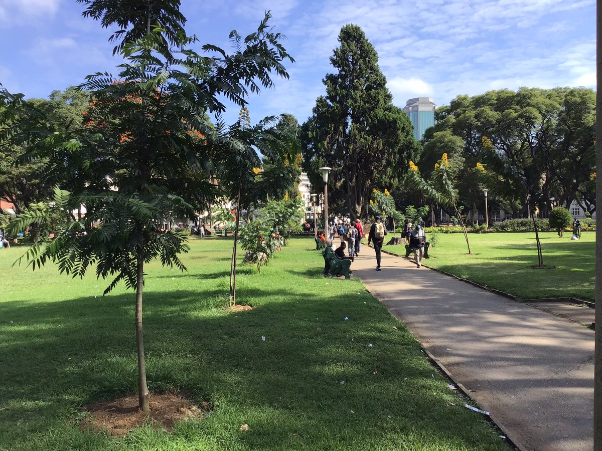 Newly planted trees in Africa Unity Square are now blooming. The city is replacing old trees with new plants to maintain the park’s decorum.