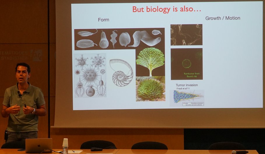 Great talk yesterday by Marino Arroyo at Faculty of Mathematics UPC (FME) about "Mathematical and computational modeling of living materials". Recorded video coming soon...