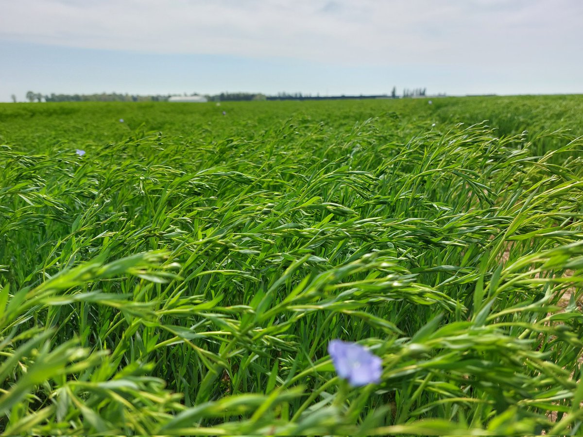 MMARTRET tweet media