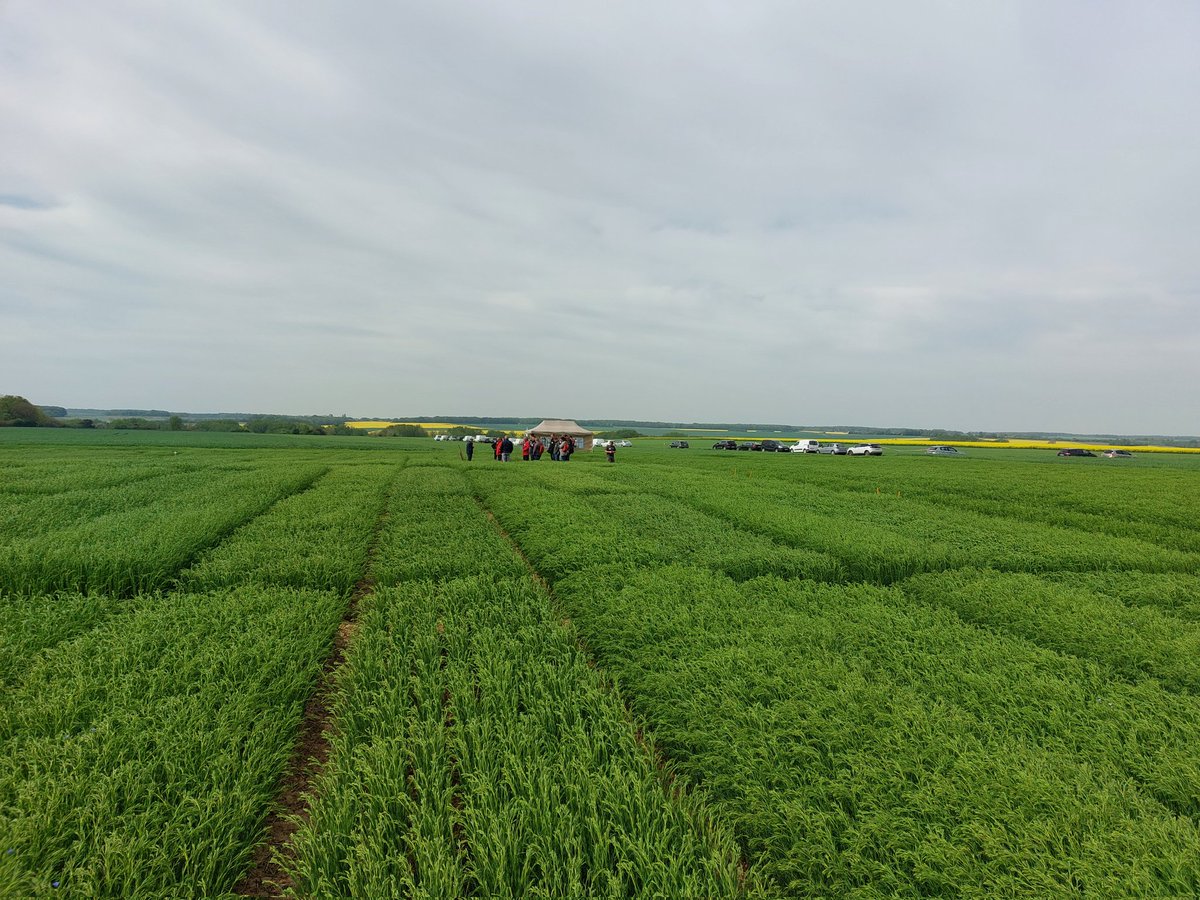 MMARTRET tweet media