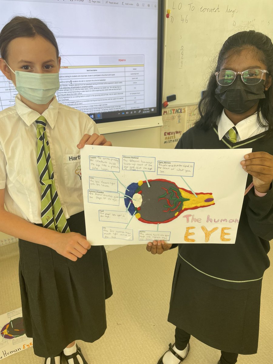SarahHansberry's tweet image. Year 6 had lots of fun today with this hands on activity! First the students researched how each part of the eye perceives light before then creating models of the eye to represent their findings! #science #year6 #light #theeye