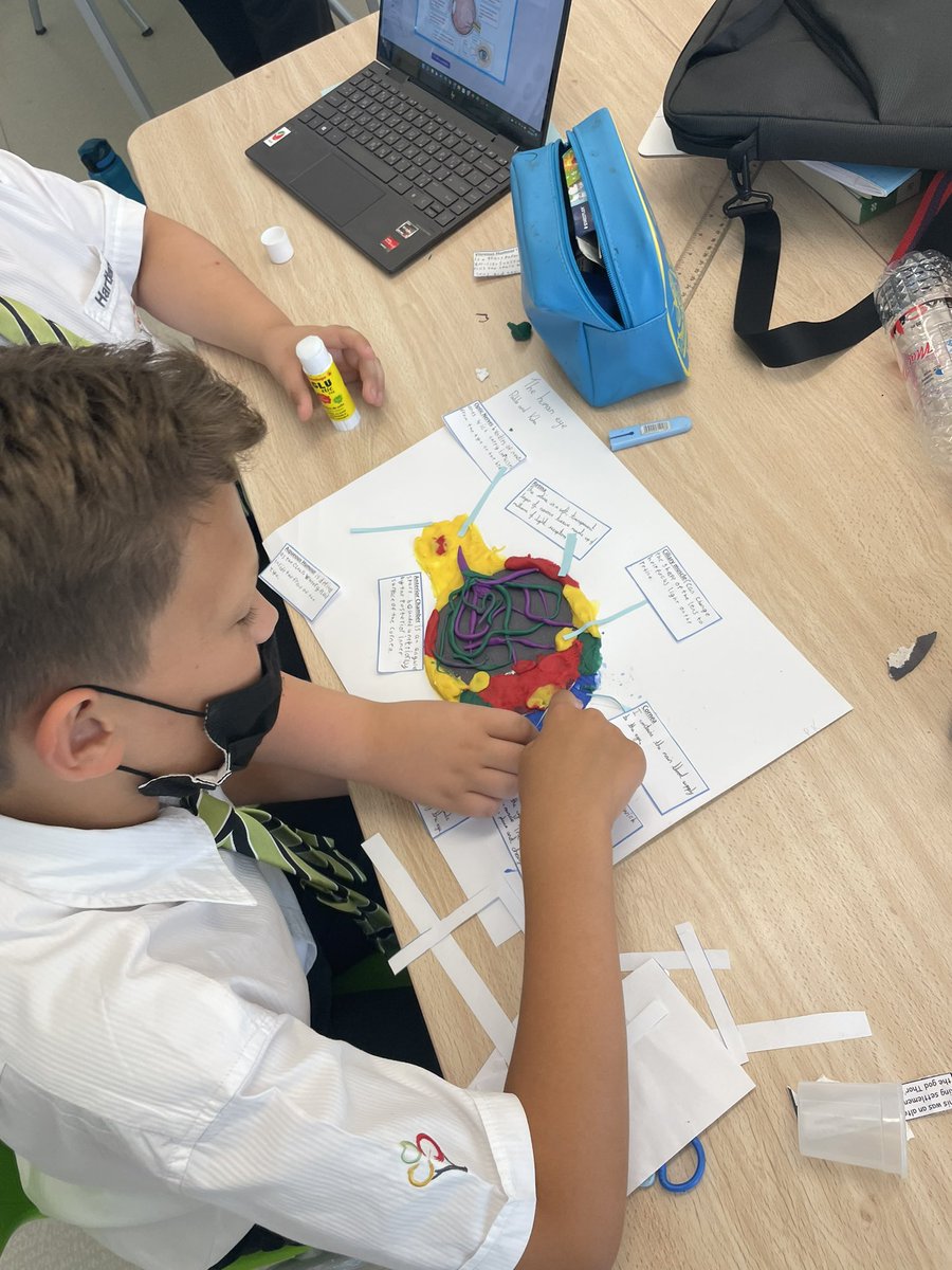 SarahHansberry's tweet image. Year 6 had lots of fun today with this hands on activity! First the students researched how each part of the eye perceives light before then creating models of the eye to represent their findings! #science #year6 #light #theeye