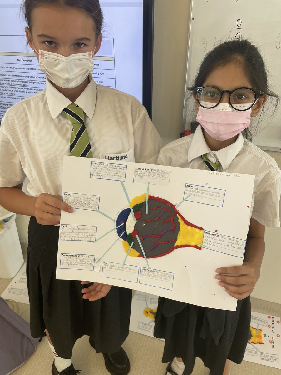 SarahHansberry's tweet image. Year 6 had lots of fun today with this hands on activity! First the students researched how each part of the eye perceives light before then creating models of the eye to represent their findings! #science #year6 #light #theeye