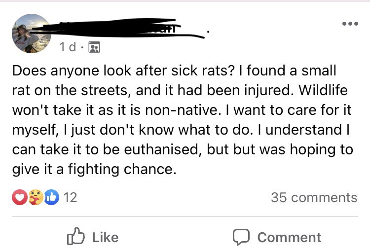 Fiona Pepper tweet media