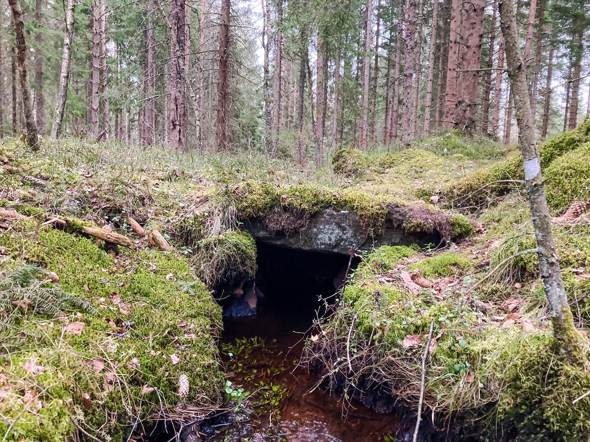 Kolla här <a href="/bevakarn/">Jonatan Börjesson</a>! Fin och bred hällbro på onsdagskvällens promenad…