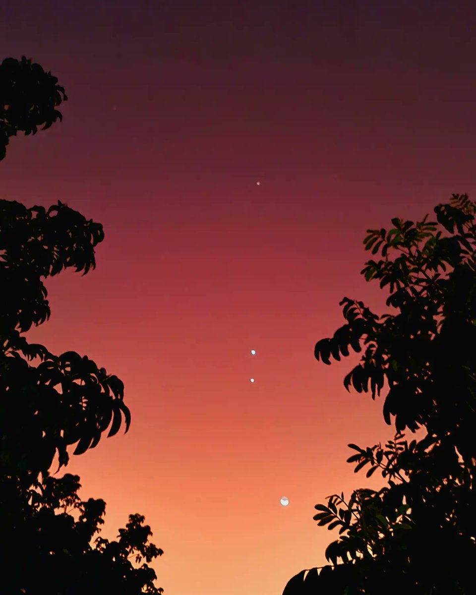 nolxglobal's tweet photo. Alignement of 5 planets, taken 9 days apart in the Kalahari desert. https://t.co/JpxIXoW2I8