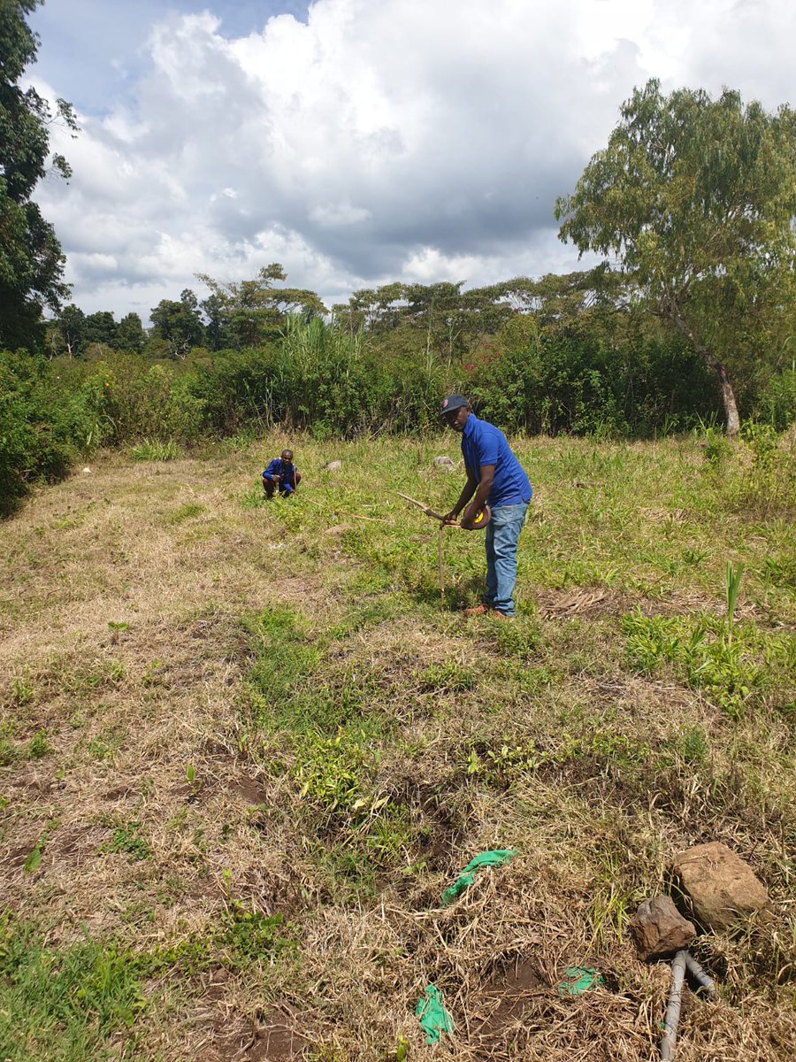 KUGreenEduHub's tweet photo. The best time to plant a tree was 20 yrs ago. The second best time is now.
Preparations by @kemukenya PARG to plant #trees at Gichunge Pri Sch
The exercise will create #Awareness among the pupils &amp; institution abt their role in combatin #climatechange 
#climateuni
#ClimateCrisis https://t.co/SDgYz8HR2l