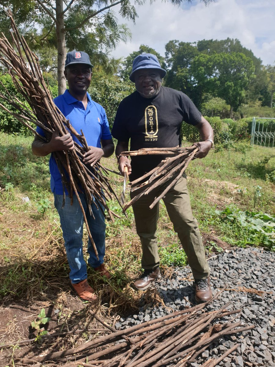 KUGreenEduHub's tweet photo. The best time to plant a tree was 20 yrs ago. The second best time is now.
Preparations by @kemukenya PARG to plant #trees at Gichunge Pri Sch
The exercise will create #Awareness among the pupils &amp; institution abt their role in combatin #climatechange 
#climateuni
#ClimateCrisis https://t.co/SDgYz8HR2l