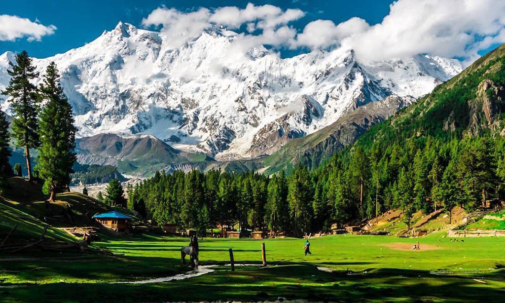 Sana___Tweets's tweet photo. The astounding beauty of Fairy Meadows, locally known as Joot, located near one of the base camp sites of the Nanga Parbat, Gilgit-Baltistan, Pakistan.

#Pakistan #DiscoverPakistan #FairyMeadows https://t.co/J4GUBGHs6o