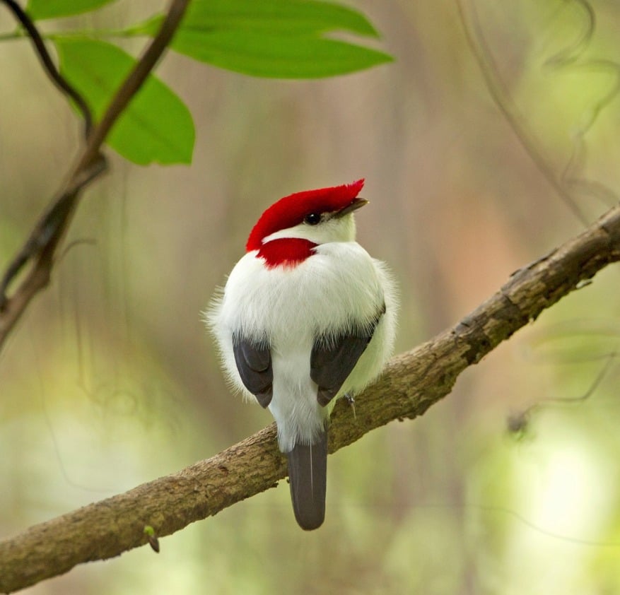 m3t1nlutf1k4ym4z ✪ (@lutfikaymaz) on Twitter photo 