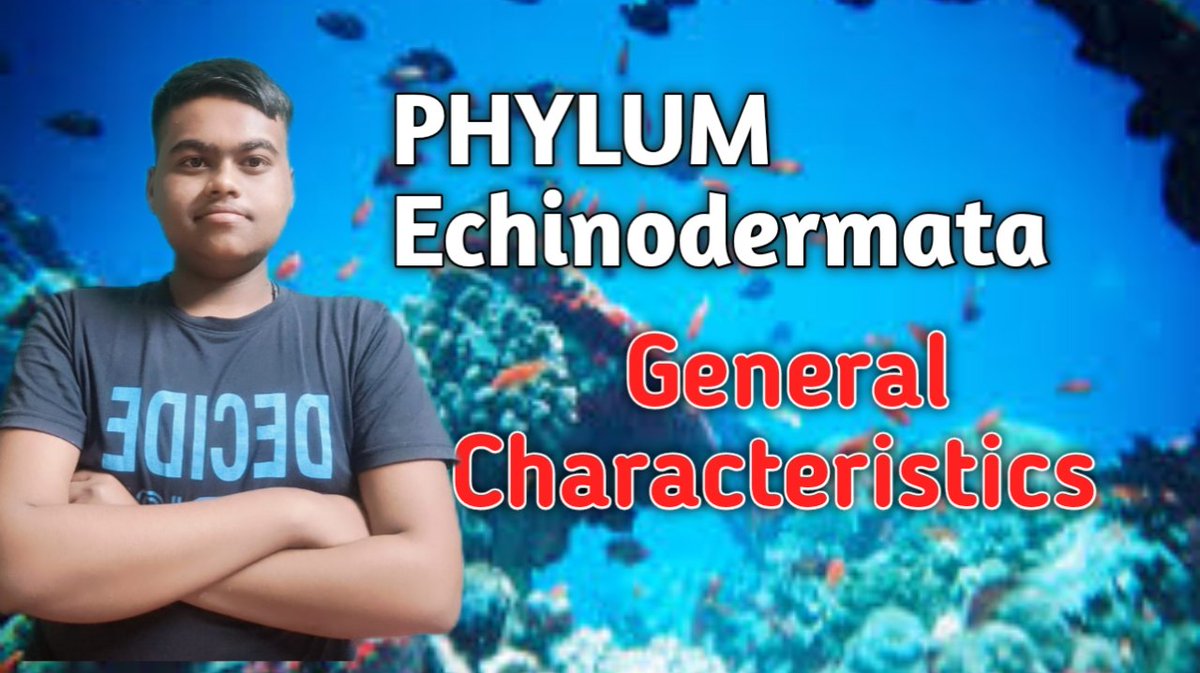 Ankursciencewo1's tweet photo. Watch new on Yt... Iink- https://t.co/vSVzzRKQzp https://t.co/YfQP3y6BCq