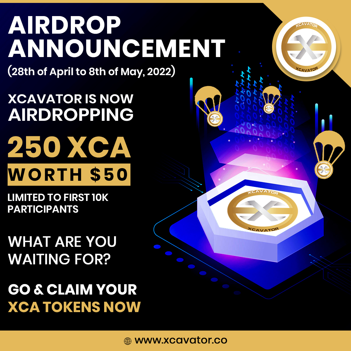 Xcavator International tweet media