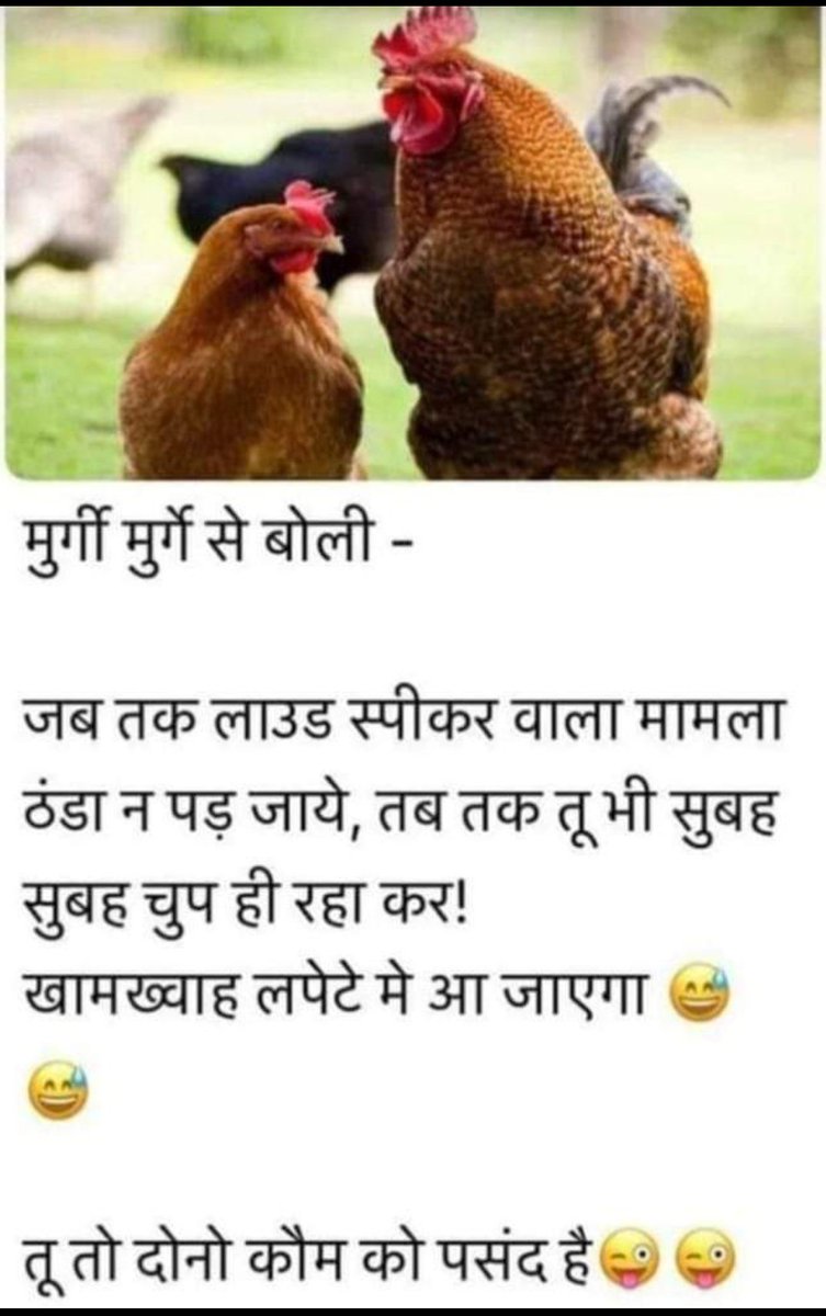 amitsharmaZi's tweet image. #LoudspeakerSolution