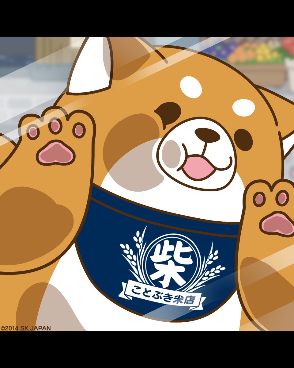 忠犬もちしば【公式】 on X: 