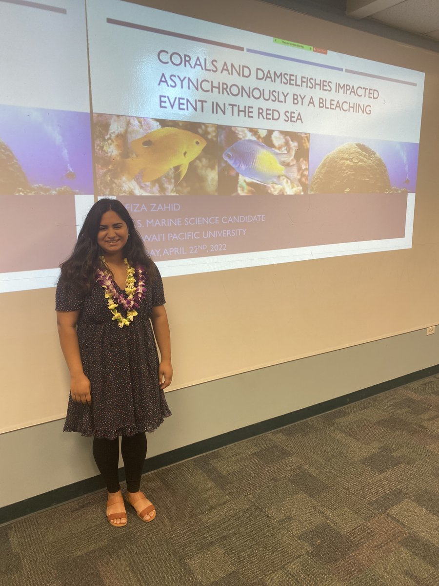Sclero Lab (@sclero_lab) on Twitter photo Our first <a href="/MarineSci_HPU/">HPU Marine Science</a> student <a href="/FizaZahid17/">Fiza Zahid</a> defended her Master's thesis last week! #damselfish, #corals, #HeatWaves Our first <a href="/MarineSci_HPU/">HPU Marine Science</a> student <a href="/FizaZahid17/">Fiza Zahid</a> defended her Master's thesis last week! #damselfish, #corals, #HeatWaves