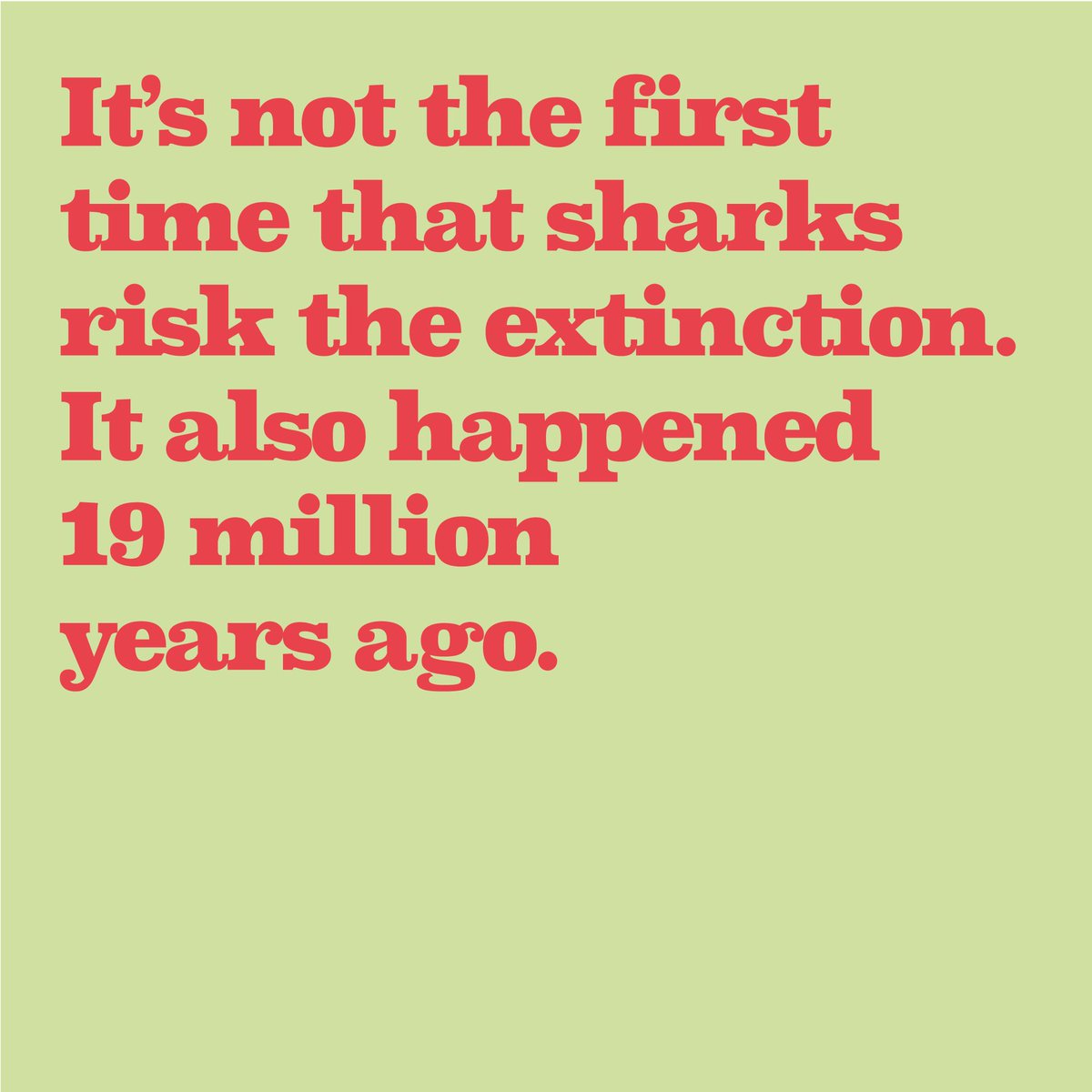 Bee Human 🐝 tweet media