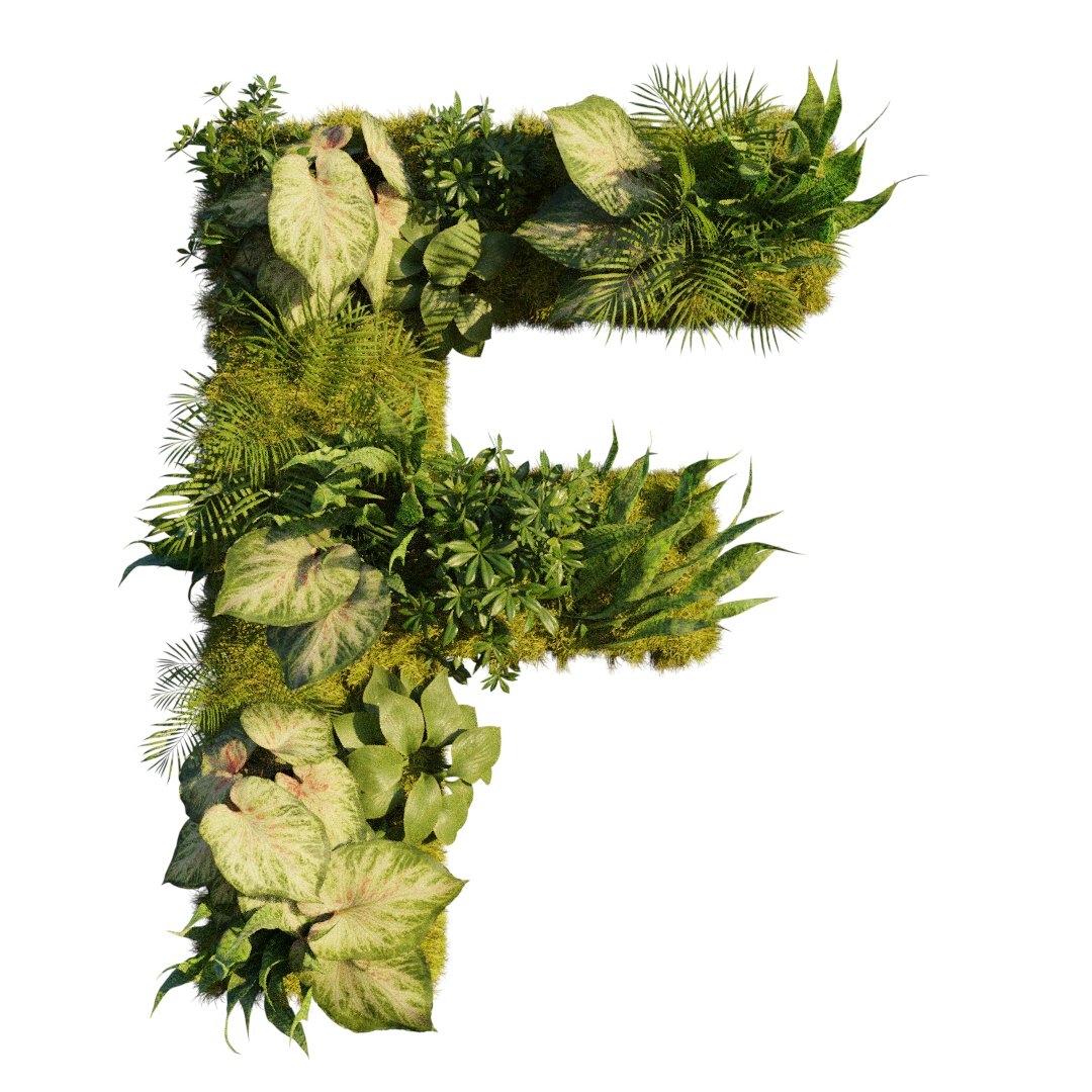 Vanmiddag om 14:00 uur is de opening van Green Space met Gouden Griffel winnaar Pieter Koolwijk, kunstenaar <a href="/MerijnVrij/">Merijn Vrij</a> en wethouder <a href="/GliminaChakor/">Glimina Chakor</a>. Zien we je daar? 

#forumgreenhouse #forumgroningen