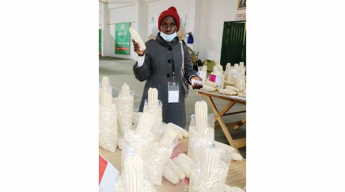 BulawayoZoom's tweet photo. MS Elizabeth Ndlovu (58) from #Umguza in Matabeleland North Province is a first-time exhibitor at the @ZITF1, but she is already an award winner. She is farming under the Govt sponsored #Intwasa/#Pfumvudza programme &amp; is exhibiting seven types of her maize produce @MoLAFWRD_Zim https://t.co/bWhcK8UmjF