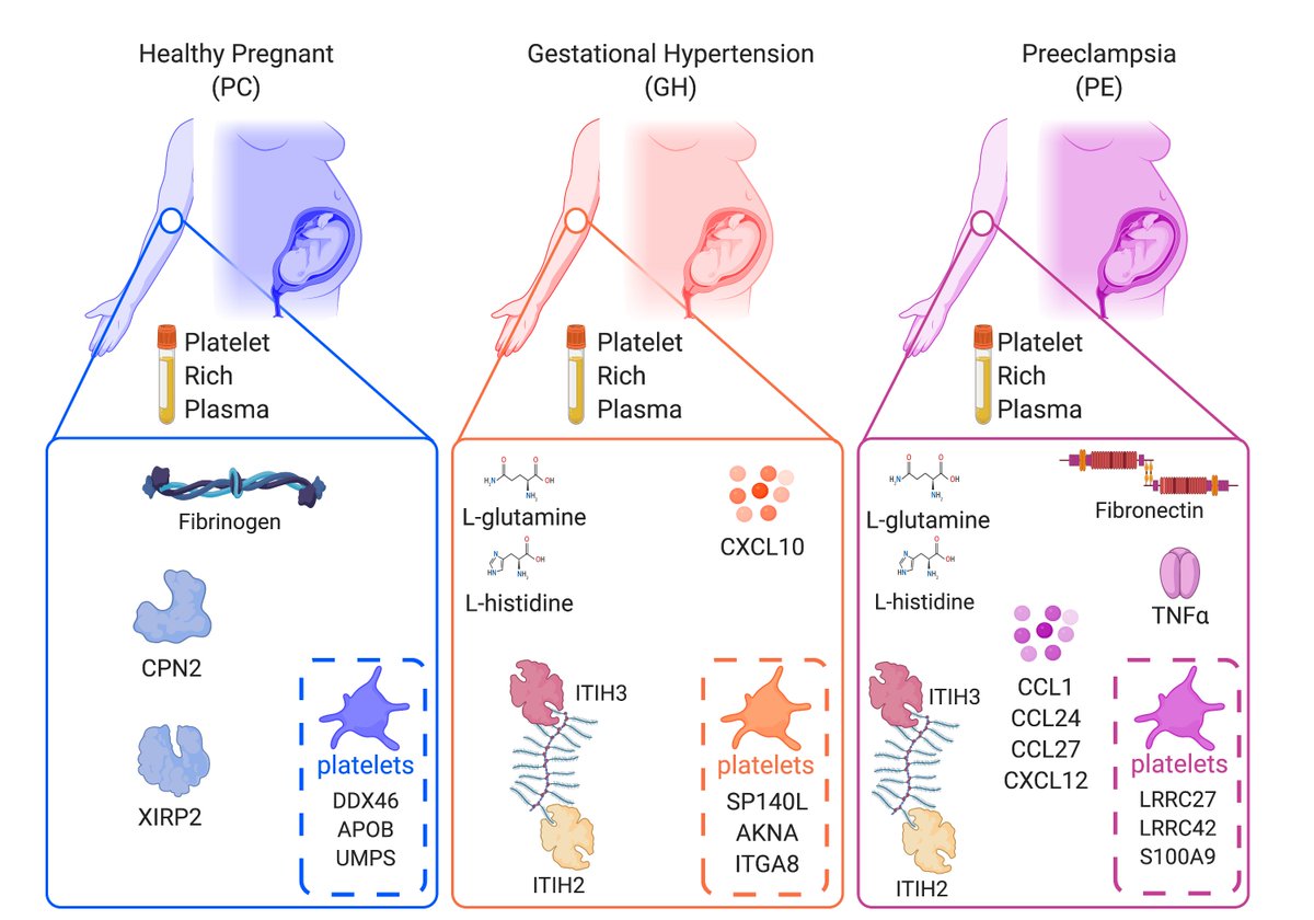 Proteomics and Metabolomics Profiling of Platelets and Plasma Mediators of Thrombo-Inflammation in Gestational Hypertension and Preeclampsia
mdpi.com/2073-4409/11/8…
