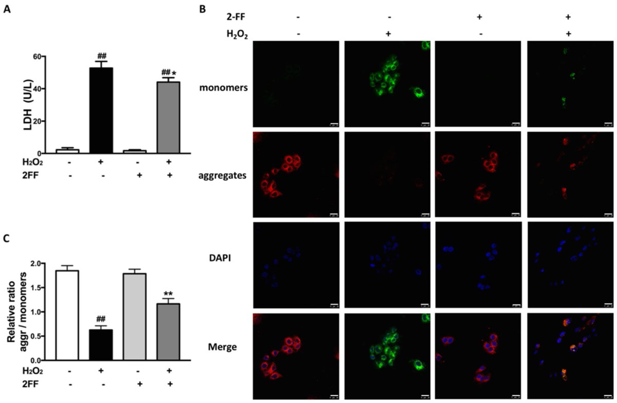 Life_MDPI's tweet photo. New Article:
2-Fluorofucose Attenuates Hydrogen Peroxide-Induced Oxidative Stress in #HepG2 Cells via Nrf2/keap1 and NF-κB Signaling Pathways 

View Full-Text: https://t.co/Eu1K6JnPqo https://t.co/7hbC9Mhqlo